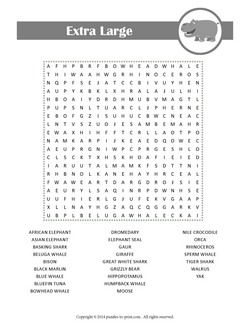 animal word searches