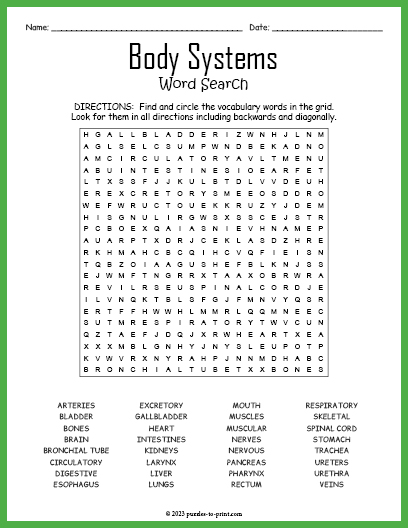 Body Systems Word Search Printable Word Search