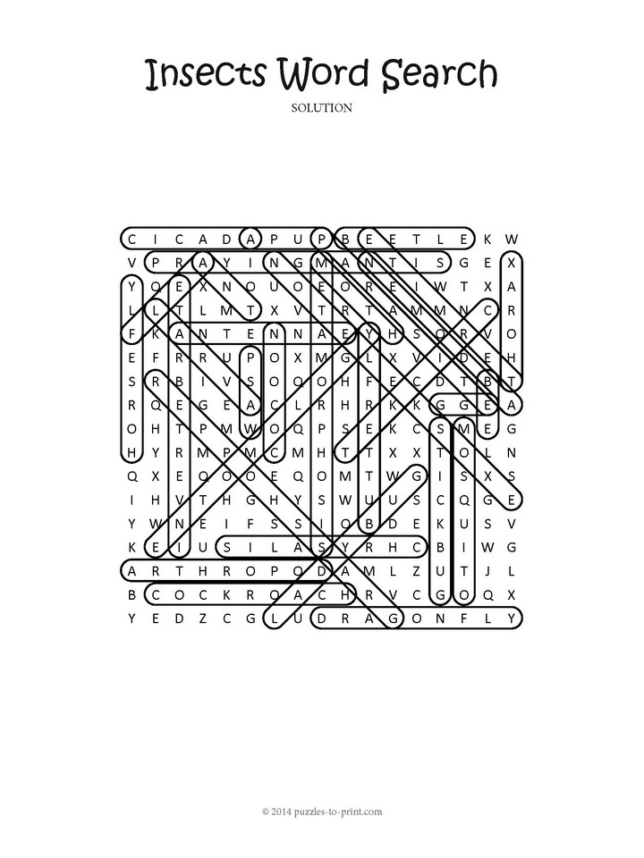 insect-word-search-puzzle