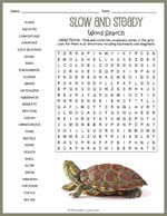 Turtle Word Search Thumbnail