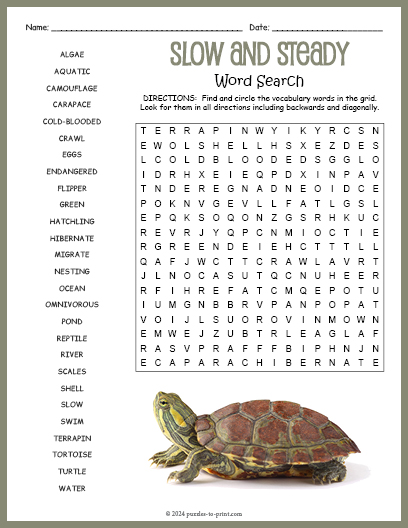 Turtle Word Search